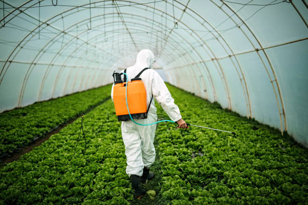 Best Affordable Pest Control Services  in Galion, OH