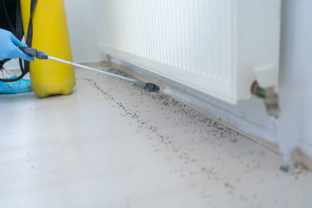Pest Control for Restaurants in Galion, OH