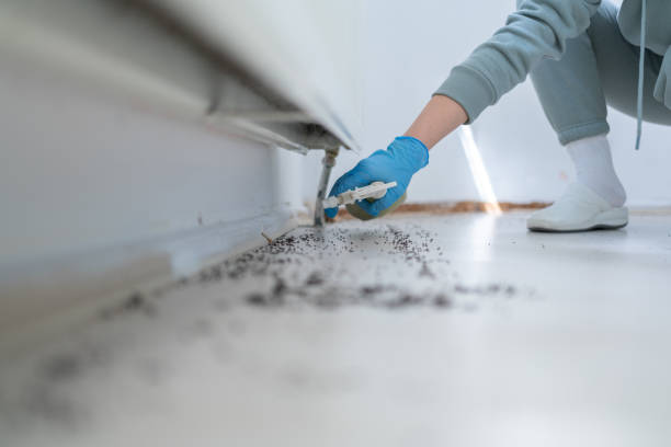 Best Flea Control Services  in Galion, OH